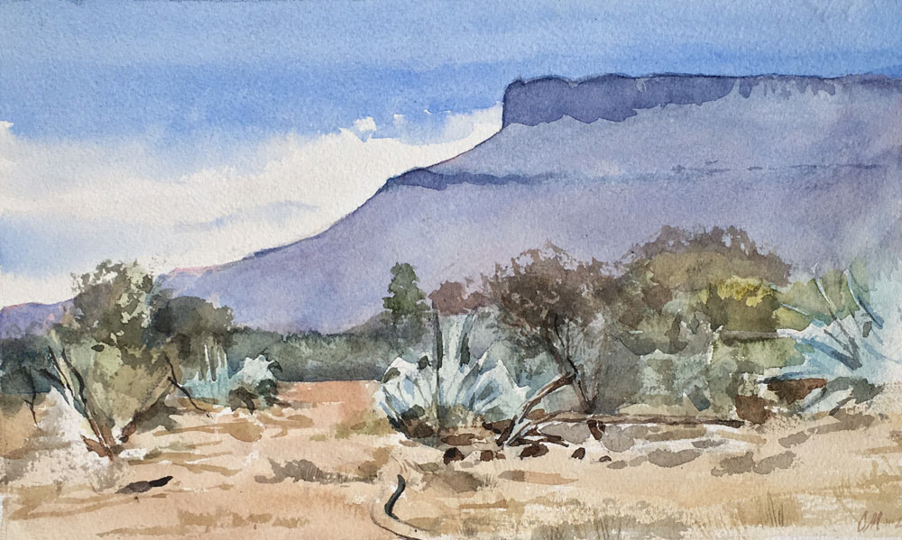 Karoo landscape watercolour painting by Curt Marthezé